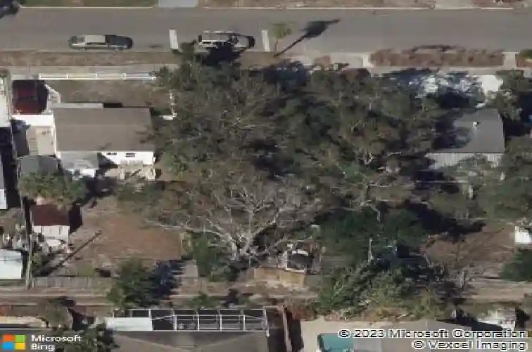 6142 4th ave s, saint petersburg,  FL 33707