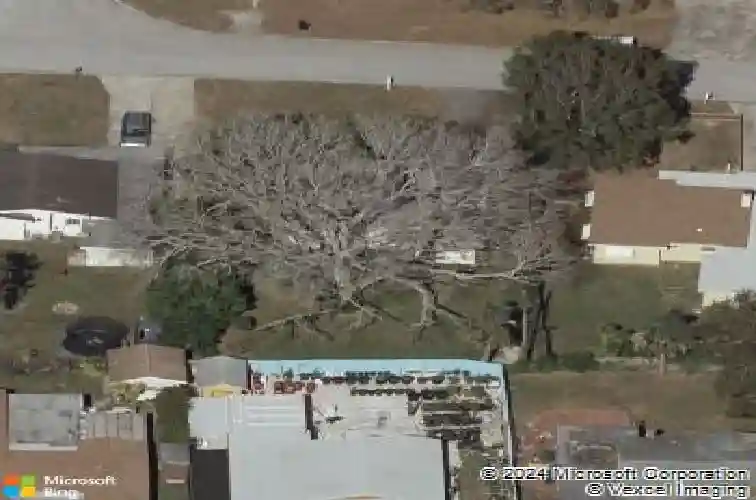 5061 jasmine cir, saint petersburg,  FL 33714