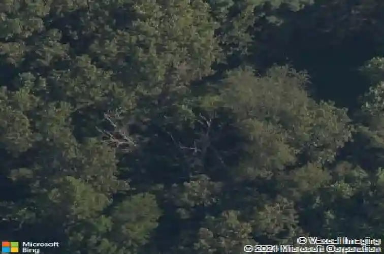 13867 s ridge rd, garfield,  AR 72732