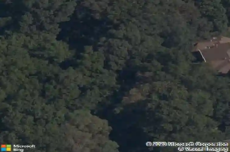 219 ridgefield, bentonville,  AR 72712