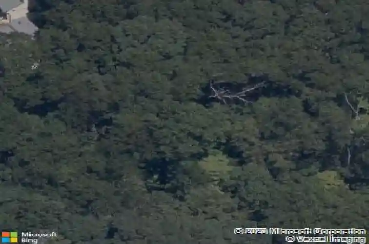 107 betsy ln, rogers,  AR 72756