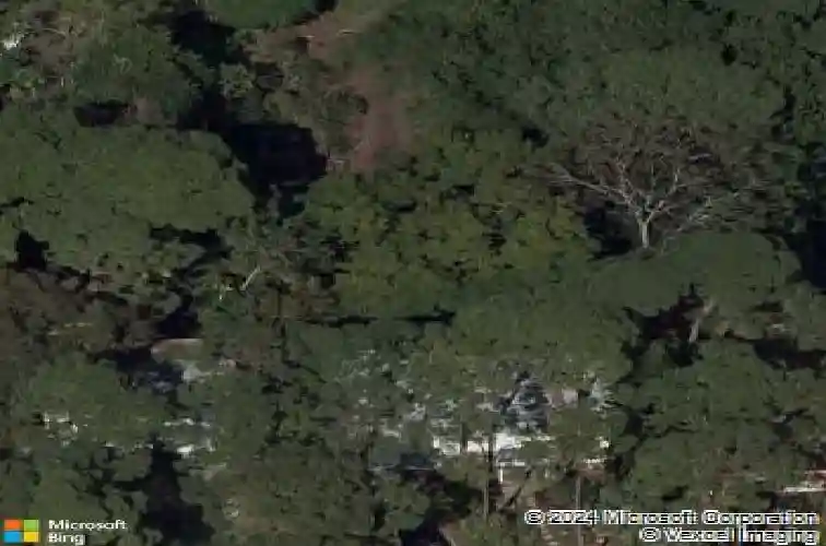 501 66th ave s, saint petersburg,  FL 33705