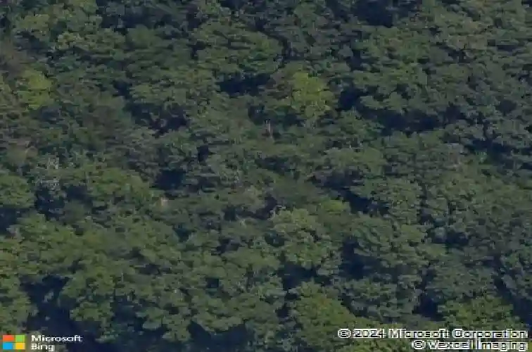 15781 serenity point ln, rogers,  AR 72756