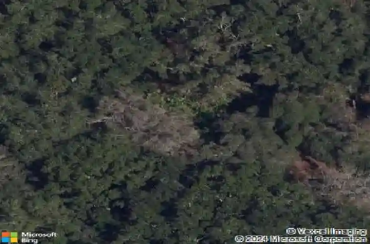 1676 hermosa drive, palm harbor,  FL 34683