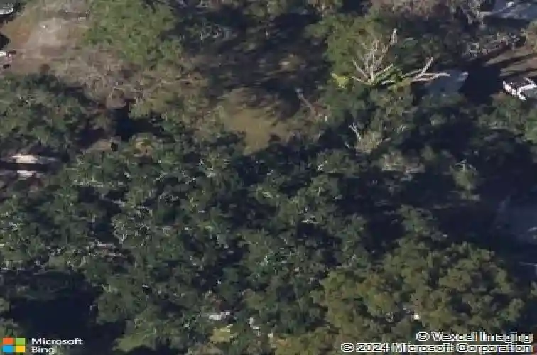 133 buckingham ave w, oldsmar,  FL 34677