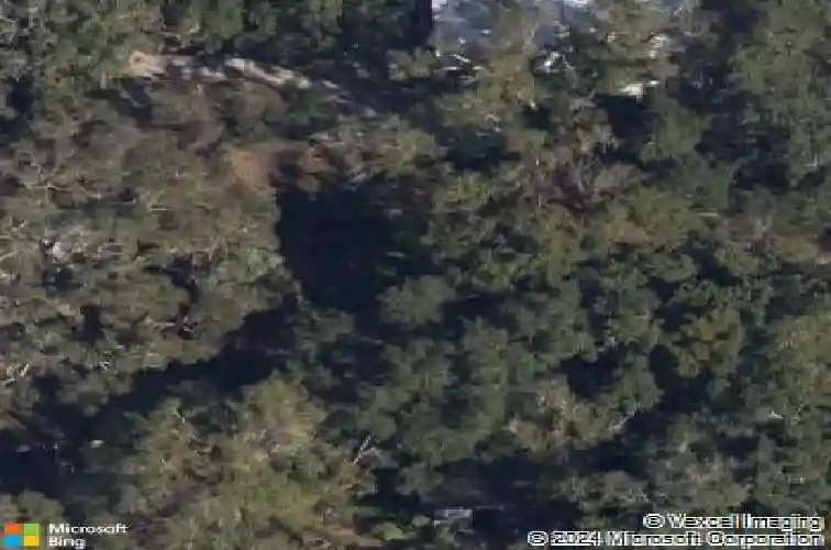 290 orange st, palm harbor,  FL 34683