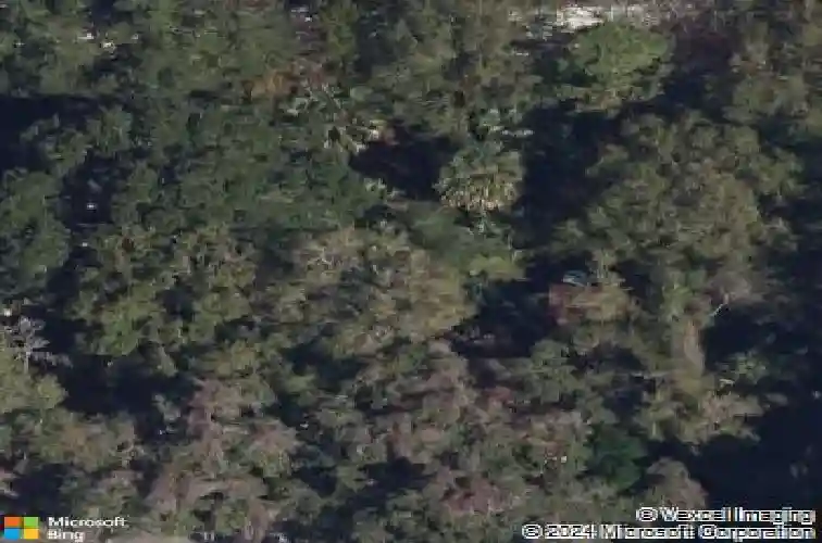 272 orange street
                                ,Unit A-B, palm harbor,  FL 34683