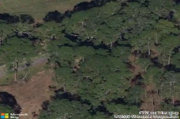 495 appaloosa rd, tarpon springs,  FL 34688