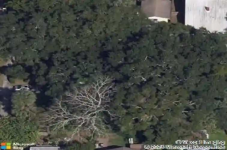 311 banana st, tarpon springs,  FL 34689