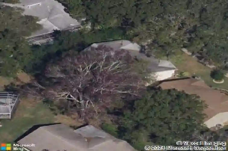 1218 gillespie dr n, palm harbor,  FL 34684