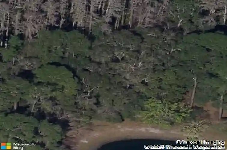 3493 kings rd #106, palm harbor,  FL 34685