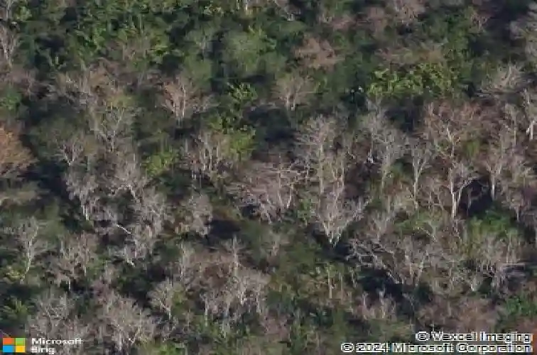 726 hidden lake dr, tarpon springs,  FL 34689