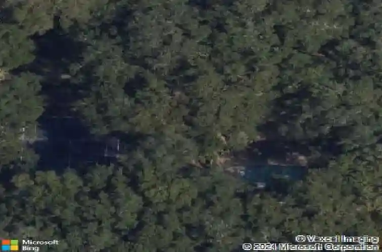 2692 walnut dr, palm harbor,  FL 34683