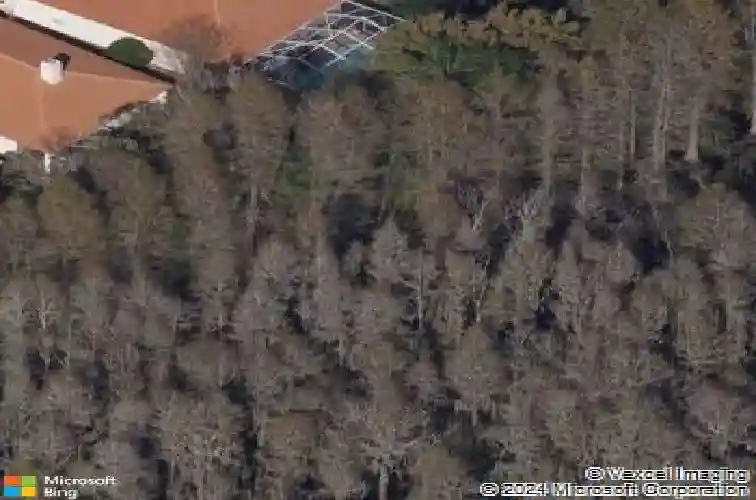 1171 dartford dr, tarpon springs,  FL 34688