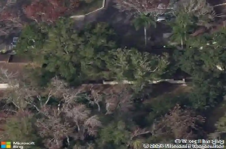 2910 star apple ct, palm harbor,  FL 34684