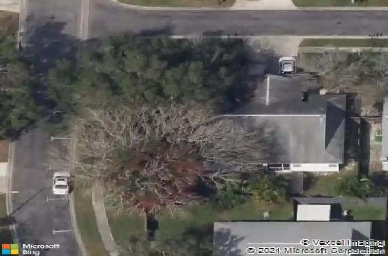 3222 latana dr, palm harbor,  FL 34684