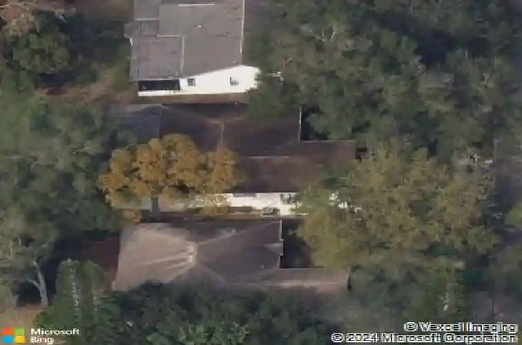 3592 oak lake dr, palm harbor,  FL 34684