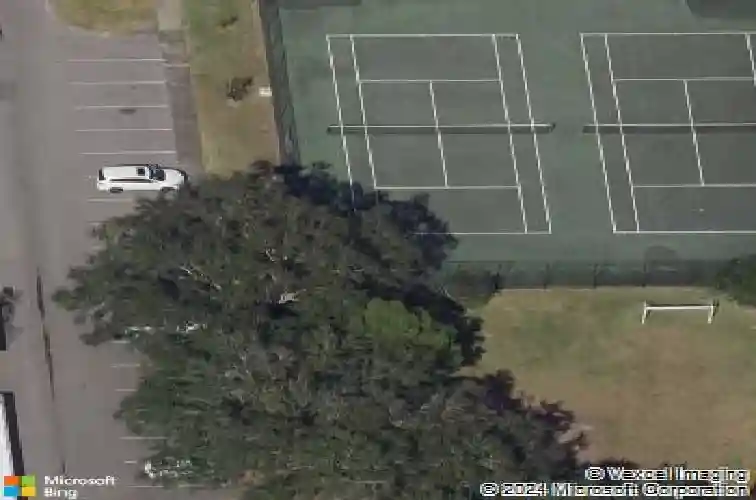 11401 3rd st n #2
                                ,Unit Apt 2, saint petersburg,  FL 33716