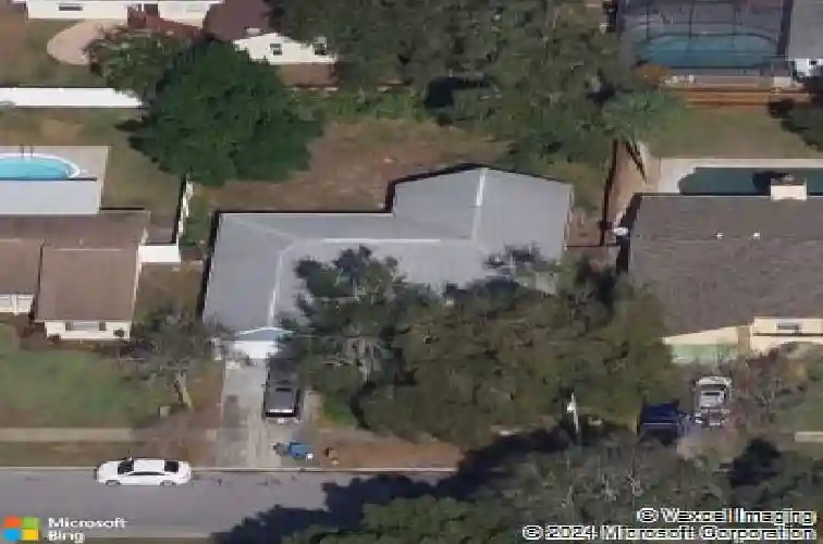  palm harbor,  FL 34683