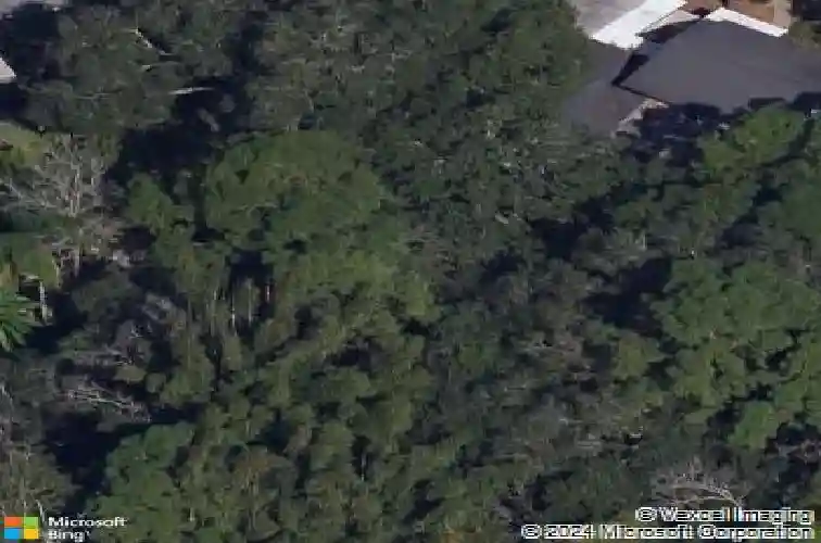 1921 saddle hill rd n, dunedin,  FL 34698