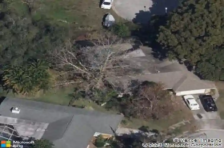 1967 castille dr, dunedin,  FL 34698