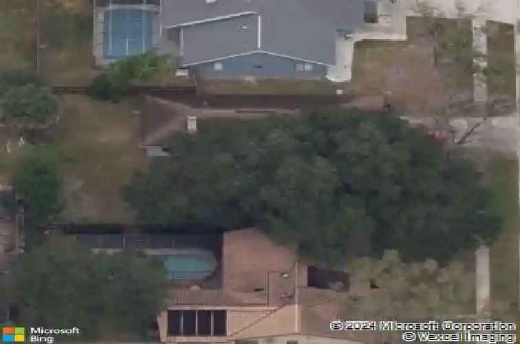 5 seedling dr, safety harbor,  FL 34695