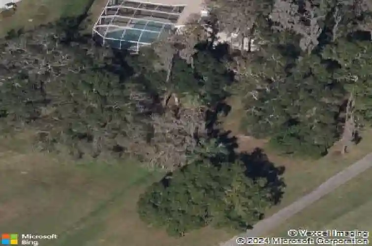 3001 bolt dr, palm harbor,  FL 34685