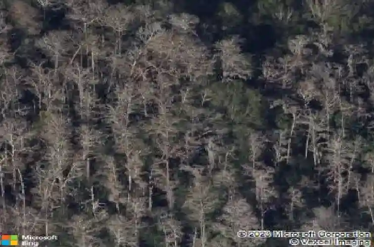 317 old east lake rd, tarpon springs,  FL 34688