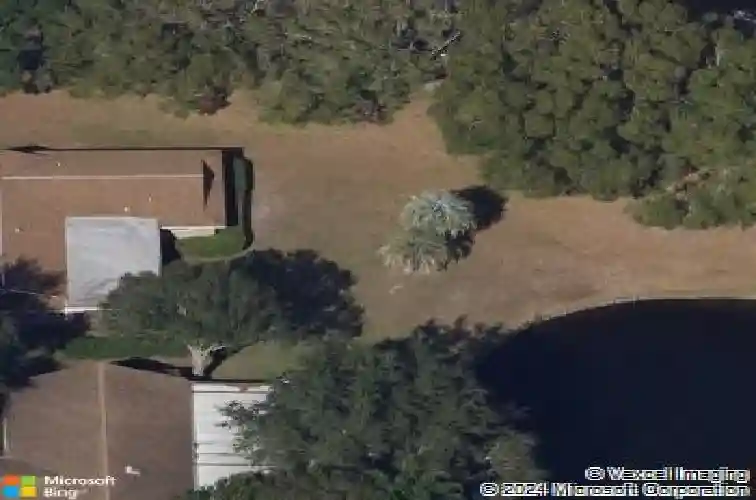 3241 buckhorn dr, clearwater,  FL 33761