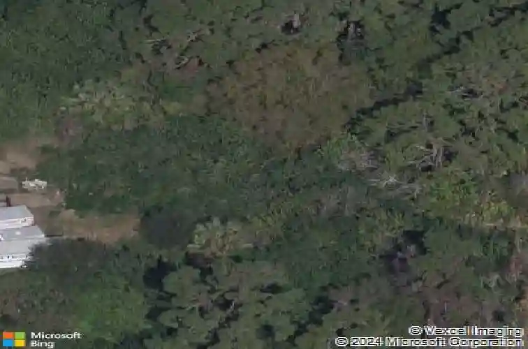  tarpon springs,  FL 34689