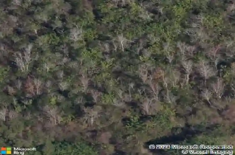 723 waterside ct, tarpon springs,  FL 34689