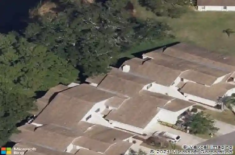  palm harbor,  FL 34683