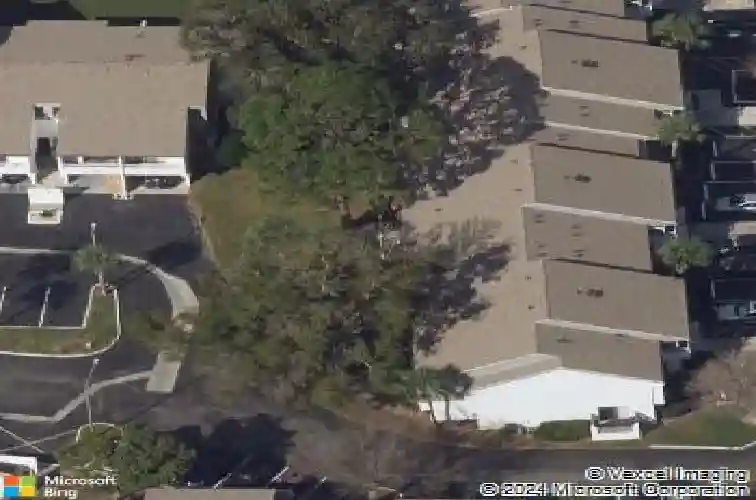  saint petersburg,  FL 33712