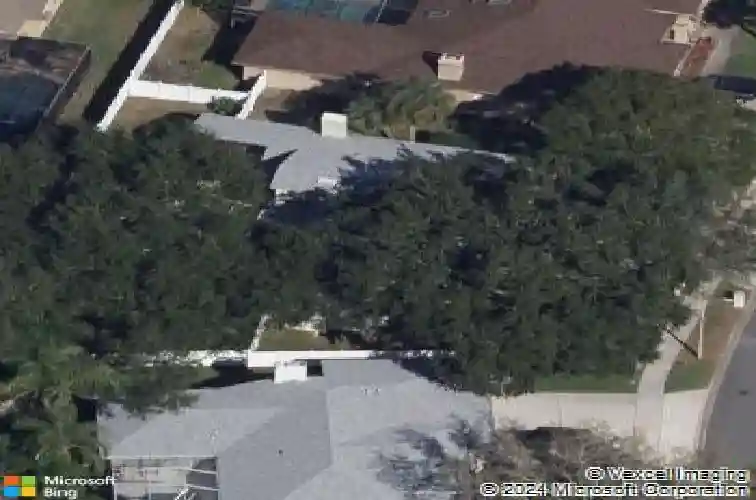 724 litchfield ln, dunedin,  FL 34698