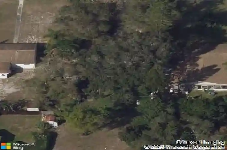  saint petersburg,  FL 33712