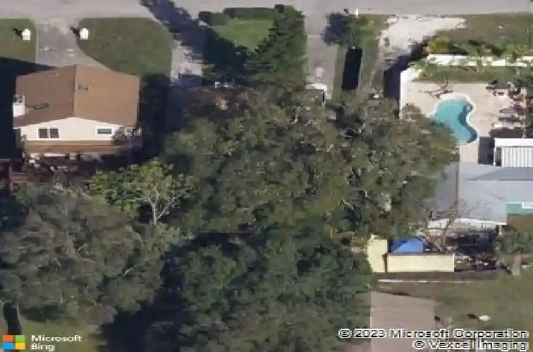  palm harbor,  FL 34683