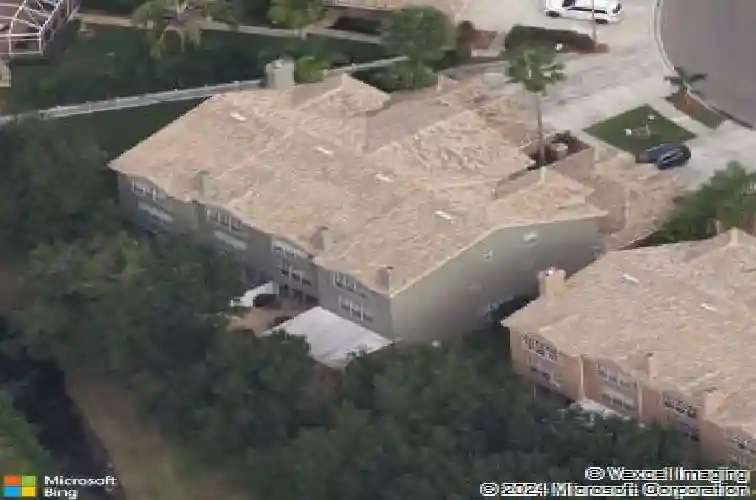  palm harbor,  FL 34685