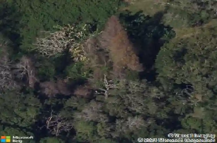 1434 glengarry dr, palm harbor,  FL 34684