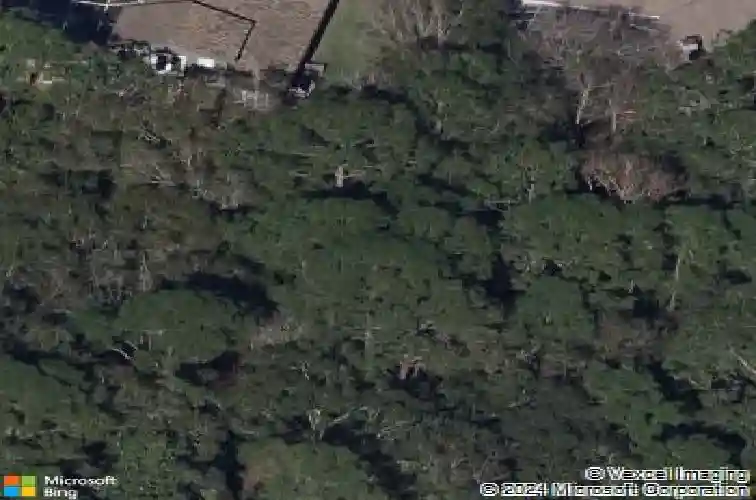 4962 turtle creek trl, oldsmar,  FL 34677