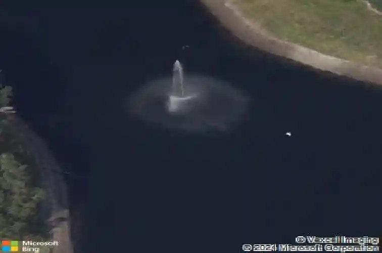 3300 haviland ct #303, palm harbor,  FL 34684