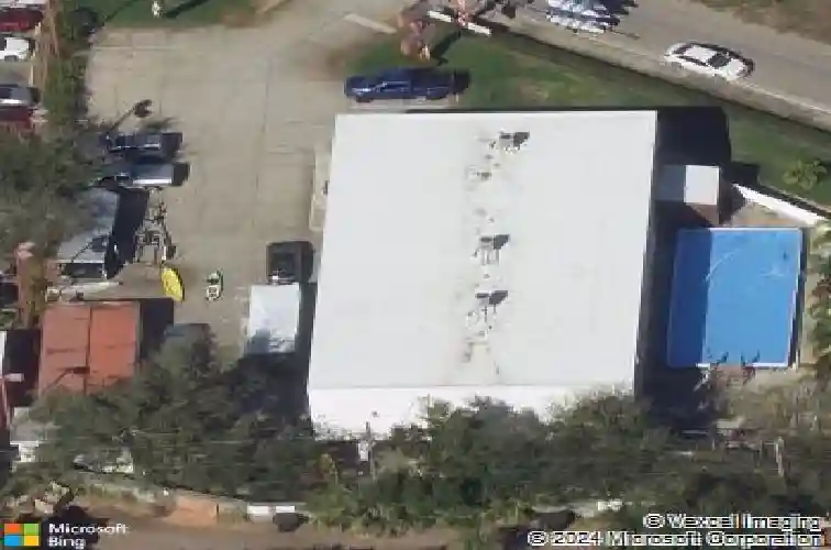  saint petersburg,  FL 33710