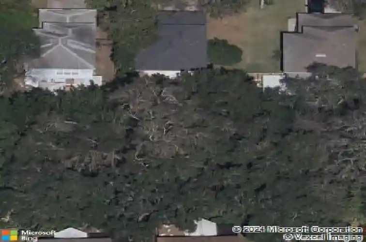 3650 fremantle dr, palm harbor,  FL 34684