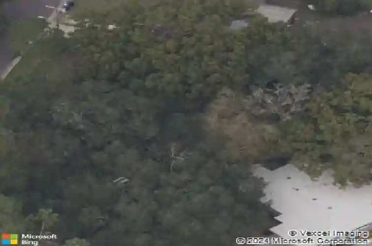 400 mira vista dr, dunedin,  FL 34698