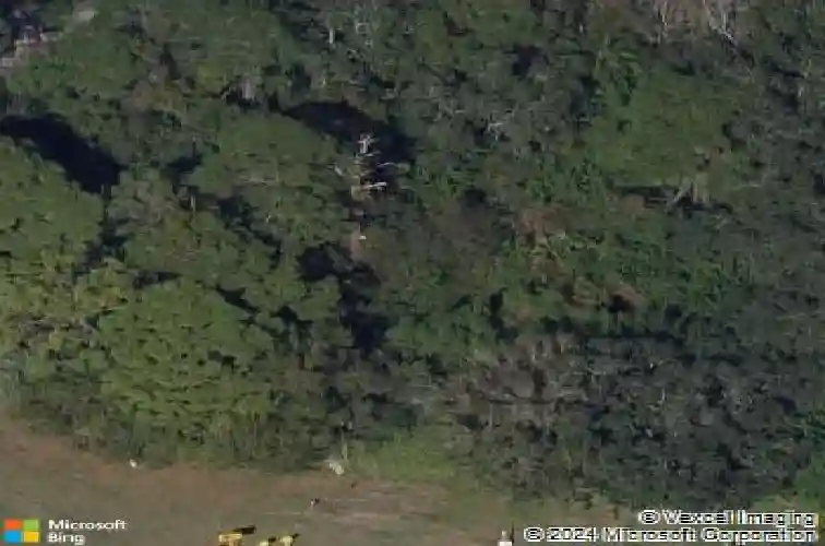 3179 duane ave, oldsmar,  FL 34677