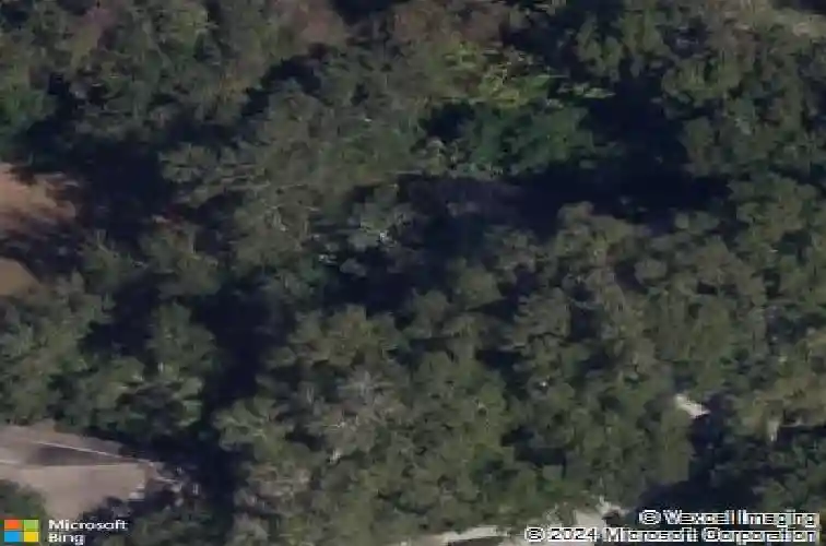  palm harbor,  FL 34683