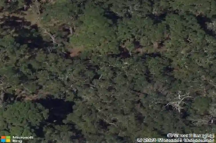 13450 wilcox rd, largo,  FL 33774