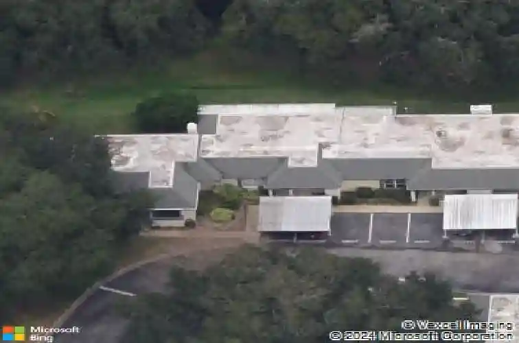 1377 n mcmullen booth rd, clearwater,  FL 33759