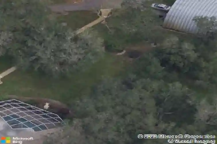 3031 cedar trce, tarpon springs,  FL 34688