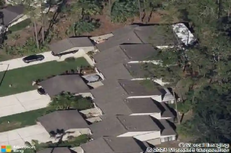 305 woods landing trl, oldsmar,  FL 34677