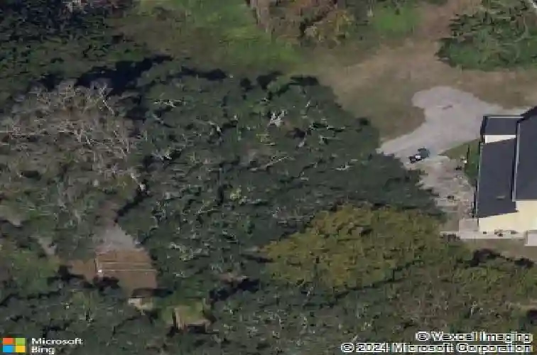  palm harbor,  FL 34683